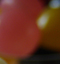 L'oeuf, son interprétation - making-off - concours Arte - Photoforlife