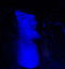 Evisceration, 12 novembre 2011, Igelrock (Valenciennes)