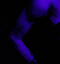 P.H.T.O. - Igelrock - Valenciennes - 27-01-2012