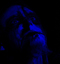 Nocturnal Depression - Igelrock - Valenciennes - 27-01-2012