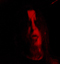 Nocturnal Depression - Igelrock - Valenciennes - 27-01-2012