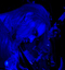 Nocturnal Depression - Igelrock - Valenciennes - 27-01-2012