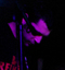 The Dead Rats - Igelrock - 14-01-2012